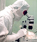 Scientist