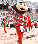 Brutus the Buckeye